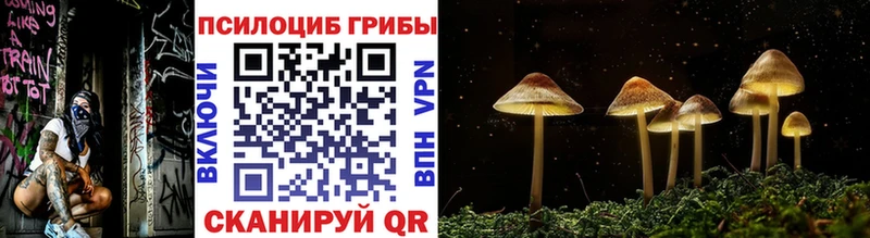 Псилоцибиновые грибы мицелий  Купить закладки  Куйбышев 